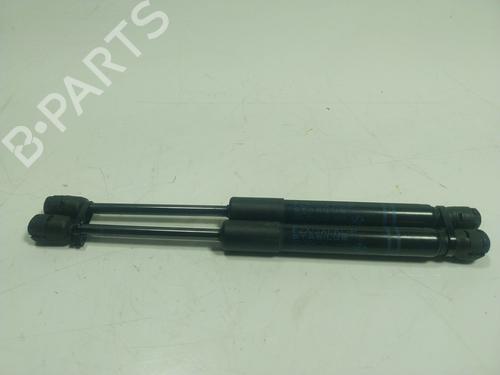 Hood lift support BMW 3 (F30, F80)  | BP18914765C139 