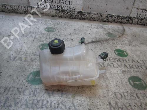 Ausgleichsbehälter RENAULT MEGANE III Hatchback (BZ0/1_, B3_) 1.5 dCi (BZ09, BZ0D, BZ1W, BZ29, BZ14) | BP3841356C120