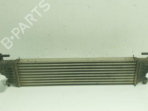 Used Intercooler FIAT 500L (351_, 352_) [2012-2025]  24867213