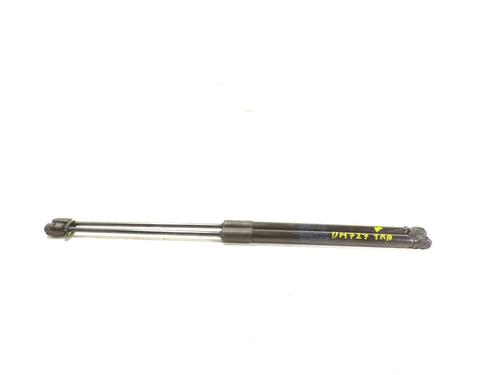 Used Tailgate lift support VW POLO VI (AW1, BZ1, AE1) 1.0 TSI (95 hp) 14491874