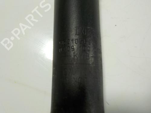 Left rear shock absorber DACIA SANDERO II  | BP11189902M18 