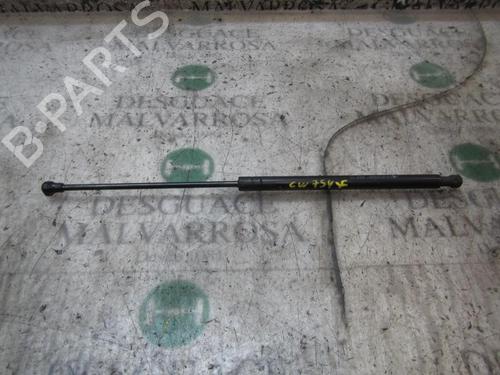 Used Hood lift support CITROËN C5 II (RC_) [2004-2008]  14276827