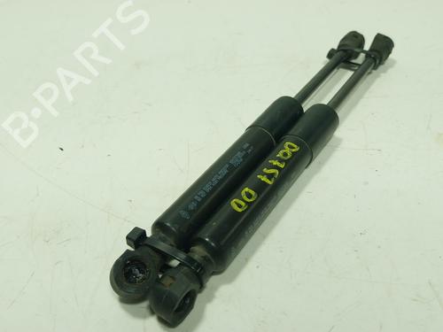 hood-lift-support-renault-zoe-bfm_-2012-27377079 main image