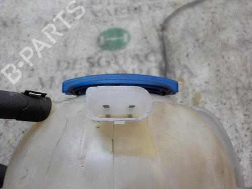 Expansion tank SEAT IBIZA IV (6J5, 6P1) 1.2 TDI | BP3850625C120