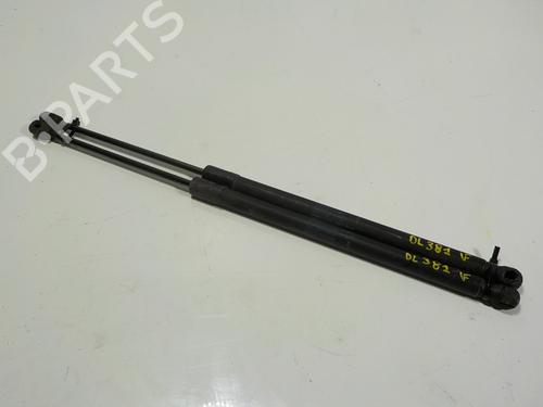 Used Tailgate lift support LAND ROVER FREELANDER 2 (L359) 2.2 TD4 4x4 (150 hp) 14289372