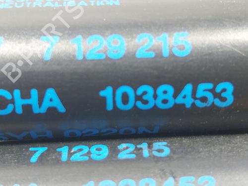 Tailgate lift support BMW 3 Convertible (E93) 325 d | BP27273109C138 