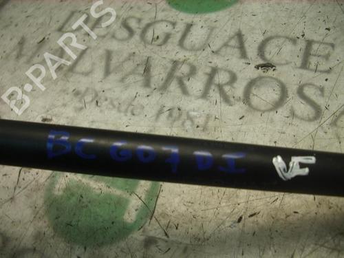 Hood lift support MERCEDES-BENZ E-CLASS (W210)  | BP14266167C139 