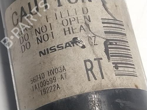 Right rear shock absorber NISSAN QASHQAI II (J11, J11_)  | BP18782838M19