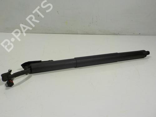 BP14287729C138 main image