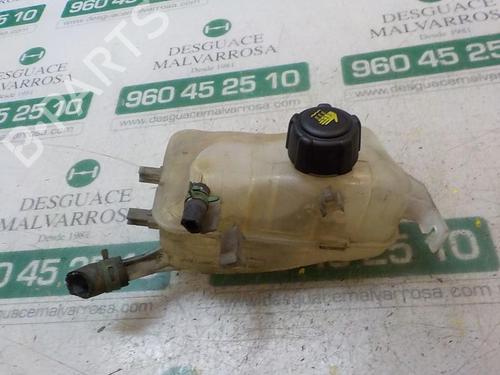 Used Expansion tank RENAULT MEGANE III Hatchback (BZ0/1_, B3_) 1.5 dCi (106 hp) 3870225