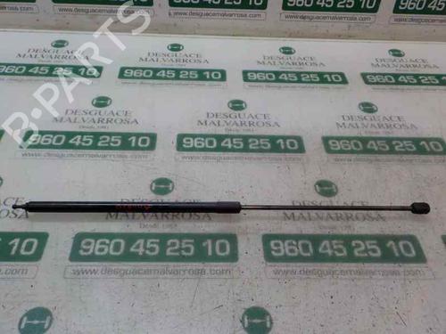 Used Hood lift support RENAULT MEGANE III Hatchback (BZ0/1_, B3_) 1.5 dCi (BZ0C) (90 hp) 14283146
