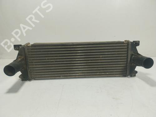 Intercooler Intercooler RENAULT TRUCKS MASCOTT Van 120.35 (A02100003) (115 hp) 24462531 24462531