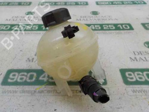 Expansion tank PEUGEOT 308 II (LB_, LP_, LW_, LH_, L3_) 1.2 THP 130 | BP5419733C120
