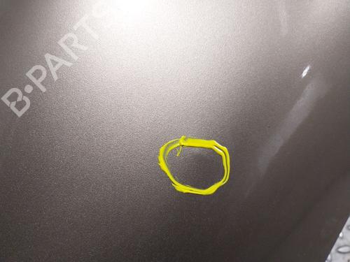 Left front fenders PORSCHE CAYENNE (9PA) 3.6 | BP32316457C41