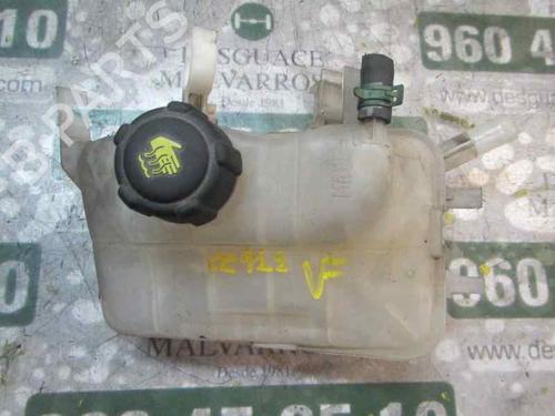 Ekpansionstank Ekpansionstank RENAULT MEGANE III Coupe (DZ0/1_) [2008-2016] 4001225 4001225