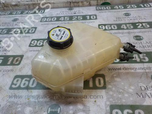 Used Expansion tank FORD FIESTA VI (CB1, CCN) 1.4 TDCi (70 hp) 3859102