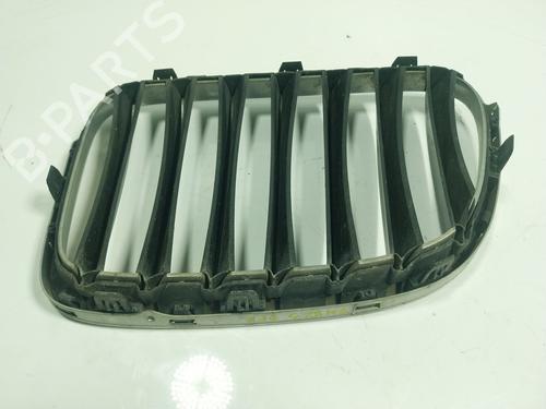 Grille BMW X1 (E84) sDrive 16 d | BP17457719C40 
