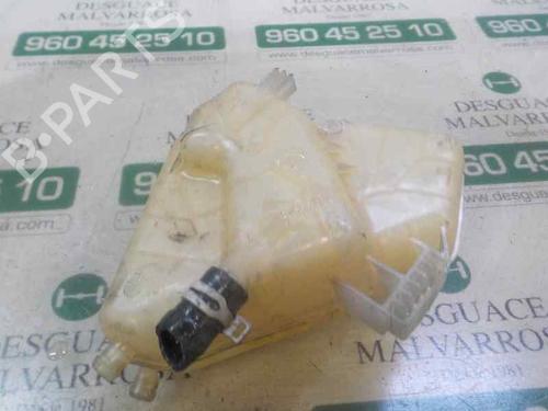 Expansion tank FORD FIESTA VI (CB1, CCN)  | BP5181124C120 