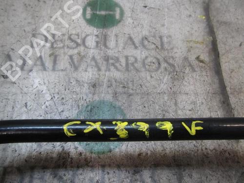 Anti roll bar RENAULT CLIO III (BR0/1, CR0/1)  | BP3841148M96 