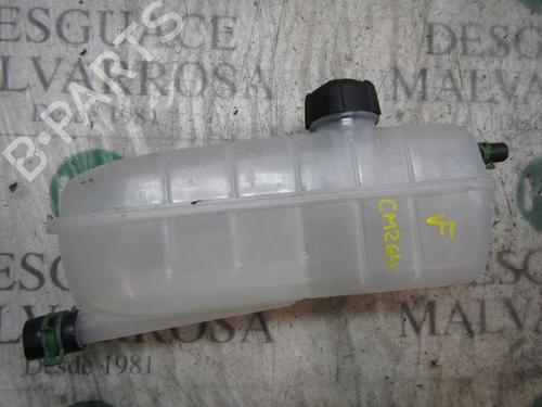 ekpansionstank-renault-zoe-bfm_-2012-4016864 main image