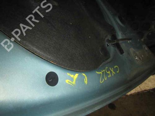 Hood RENAULT CLIO III (BR0/1, CR0/1) 1.5 dCi (BR17, CR17) | BP3842105C1 