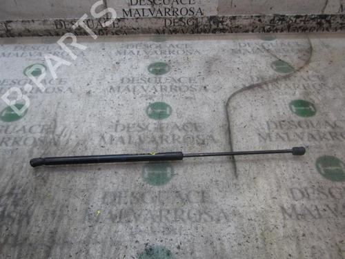 Used Tailgate lift support OPEL CORSA D (S07) 1.3 CDTI (L08, L68) (75 hp) 14277065