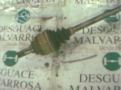  - Image 2