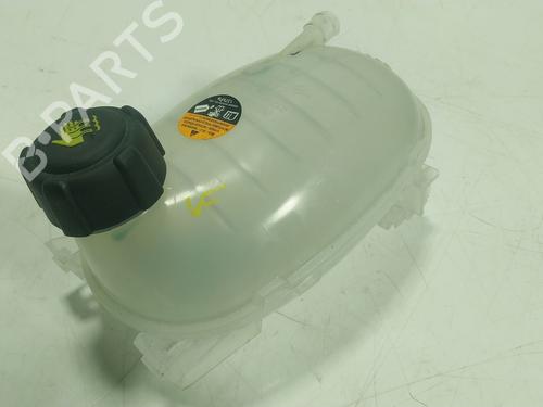 expansion-tank-nissan-juke-f15-2010-2011-2012-2013-2014-2015-2016-2017-2018-2019-25205845 main image