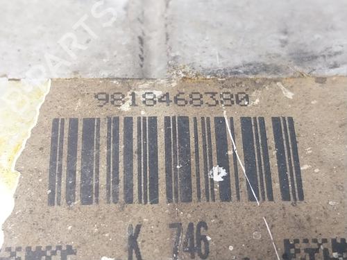 Catalyst PEUGEOT EXPERT Van (V_) 1.5 BlueHDi 100 | BP30005681M10