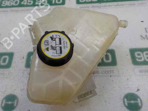 Used Expansion tank FORD FIESTA VI (CB1, CCN) 1.4 TDCi (70 hp) 5775967