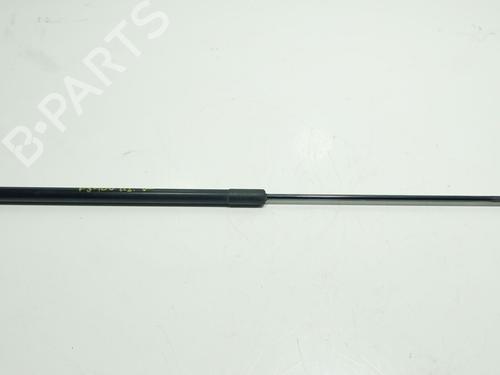 hood-lift-support-opel-insignia-a-saloon-g09-2008-2009-2010-2011-2012-2013-2014-2015-2016-2017-36647433 main image