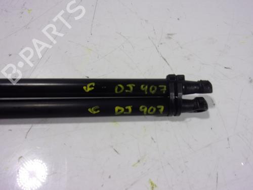 Tailgate lift support NISSAN QASHQAI / QASHQAI +2 I (J10, NJ10, JJ10E)  | BP14287834C138 