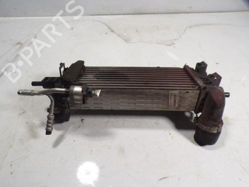 Intercooler FORD FOCUS III  | BP7210880M30 