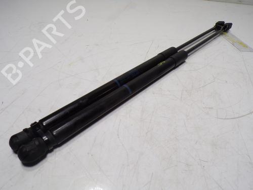 Tailgate lift support AUDI A1 (8X1, 8XK)  | BP14289245C138 