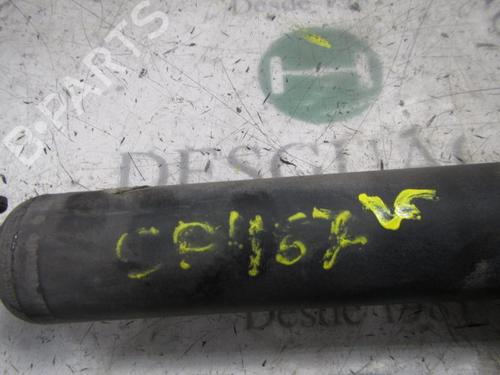 Right rear shock absorber RENAULT CLIO II (BB_, CB_)  | BP3826774M19 