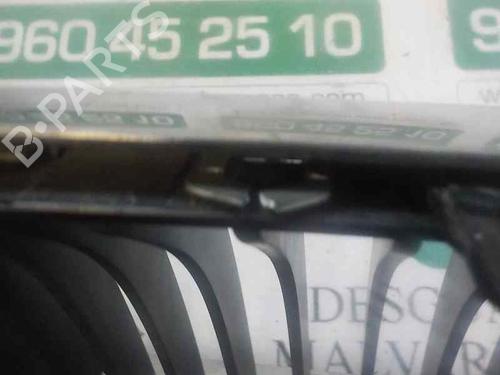 Grille BMW 3 Convertible (E93) 320 d | BP5246748C40 