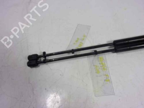 Tailgate lift support LAND ROVER RANGE ROVER SPORT I (L320) 2.7 D 4x4 | BP14287700C138 