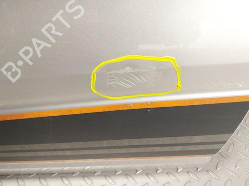 Left front door DACIA SPRING EV (B6M1) | BP29199161C2 