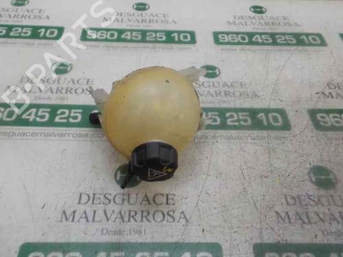 Used Expansion tank PEUGEOT 5008 (0U_, 0E_) 2.0 HDi 150 / BlueHDi 150 (150 hp) 4829186