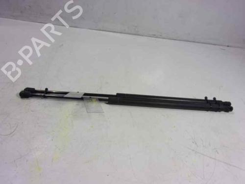 Used Tailgate lift support Tailgate lift support LAND ROVER RANGE ROVER SPORT I (L320) 2.7 D 4x4 (190 hp) 14287725 14287725