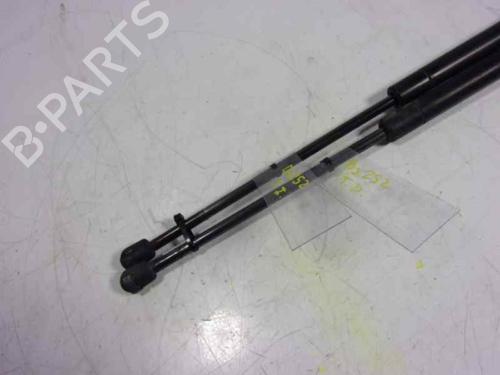 Tailgate lift support LAND ROVER RANGE ROVER SPORT I (L320) 2.7 D 4x4 | BP14287725C138 
