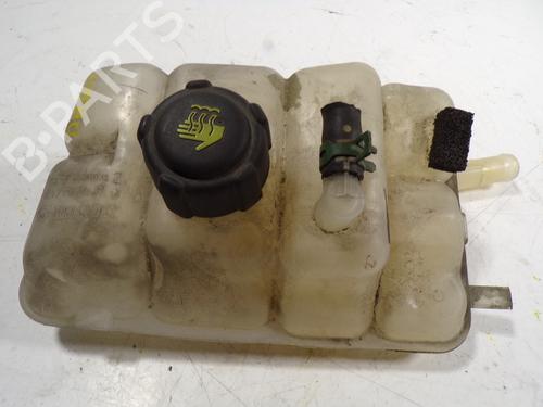 Used Expansion tank RENAULT MEGANE IV Hatchback (B9A/M/N_) 1.5 dCi 110 (B9A3) (110 hp) 7984266