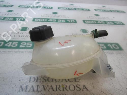 Expansion tank DACIA SANDERO II  | BP3875057C120