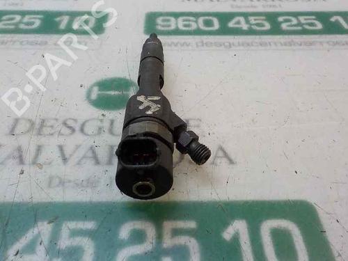 Injector RENAULT MEGANE II (BM0/1_, CM0/1_)  | BP3868947M100 