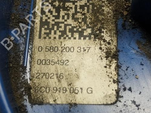 Fuel pump AUDI A1 (8X1, 8XK)  | BP19082993M76 