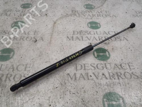 Used Tailgate lift support FORD FOCUS III 1.6 TDCi (95 hp) 14272660