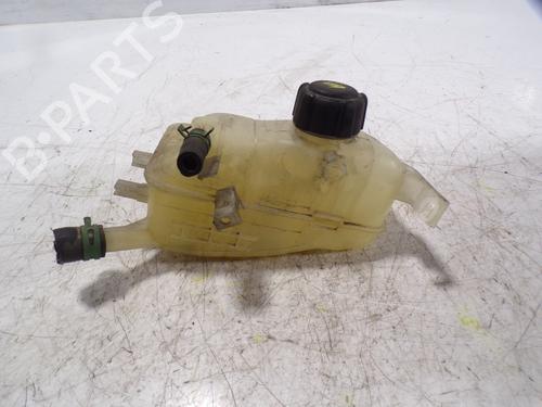Used Expansion tank RENAULT MEGANE III Hatchback (BZ0/1_, B3_) 1.5 dCi (BZ0C) (90 hp) 8373366
