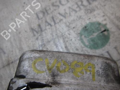 Oil radiator SEAT IBIZA IV (6J5, 6P1)  | BP14275951M33 