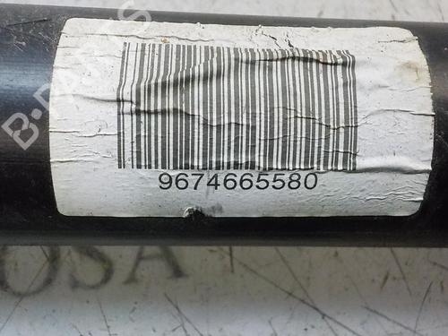 Right rear shock absorber CITROËN C-ELYSEE (DD_)  | BP3873196M19 