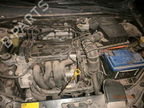Sikkerhetsbelte bak høyre FORD FOCUS I (DAW, DBW)  | BP6617552I28 